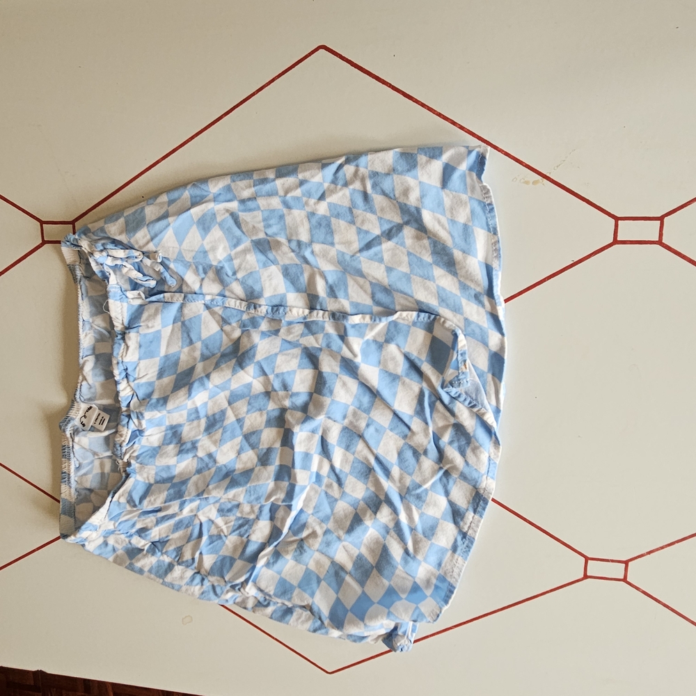 Blue and White Checkered Skirt